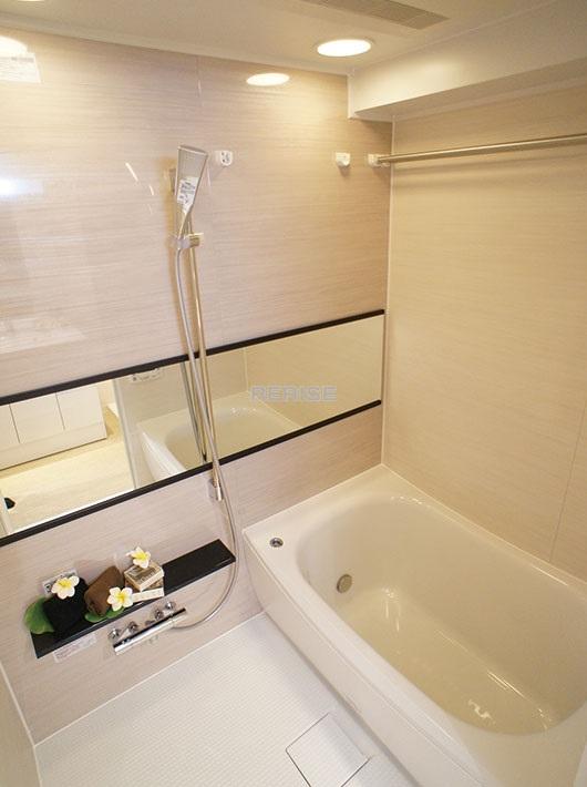 Bathroom. Bathroom Dryer, With reheating function