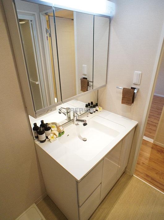 Wash basin, toilet. Vanity with a shower head