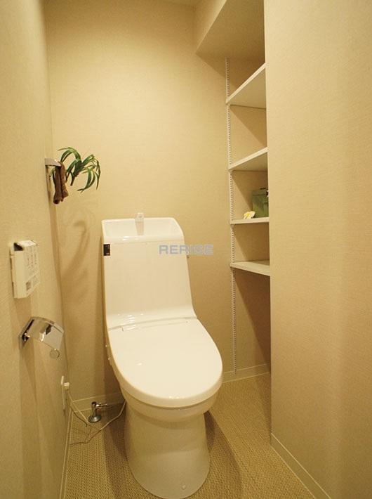 Toilet. Washlet toilet