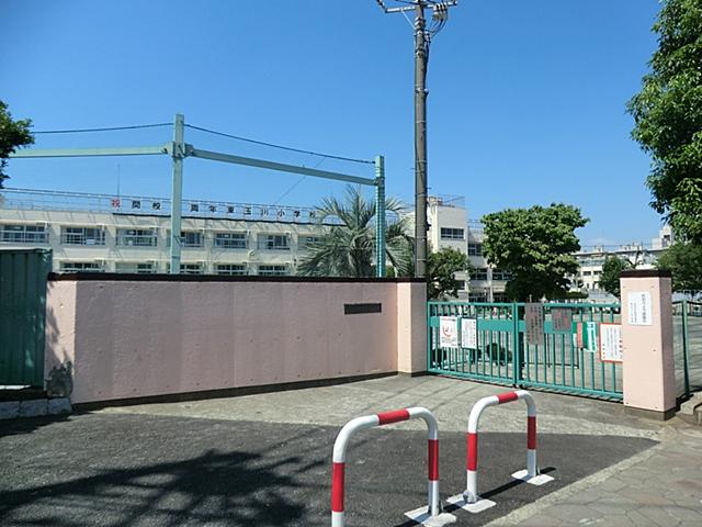Primary school. 1000m to Setagaya Ward Higashitamagawa Elementary School