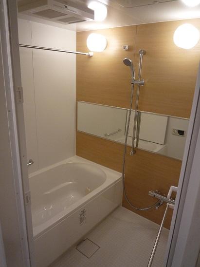 Bathroom. Indoor (12 May 2013) Shooting