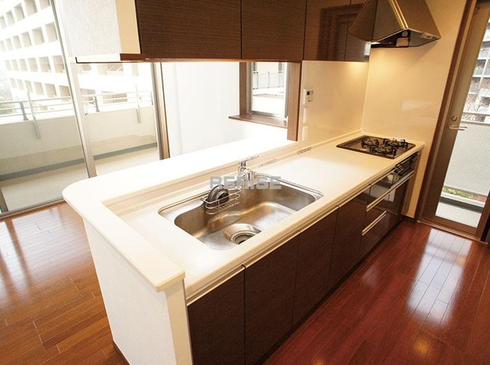 Kitchen. Popular counter kitchen