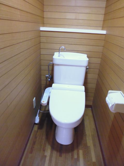 Toilet. Clean toilet