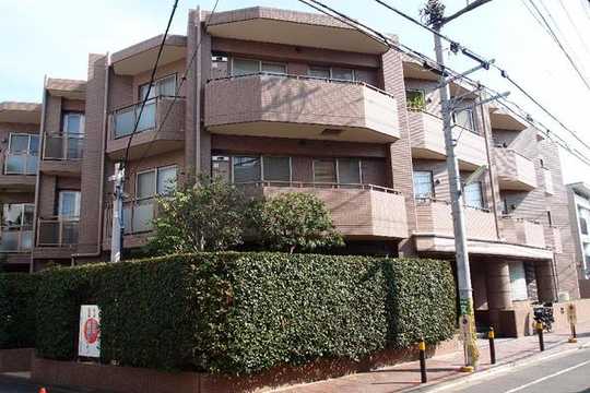 Local appearance photo. "Appearance 1" 2013 11 January shooting