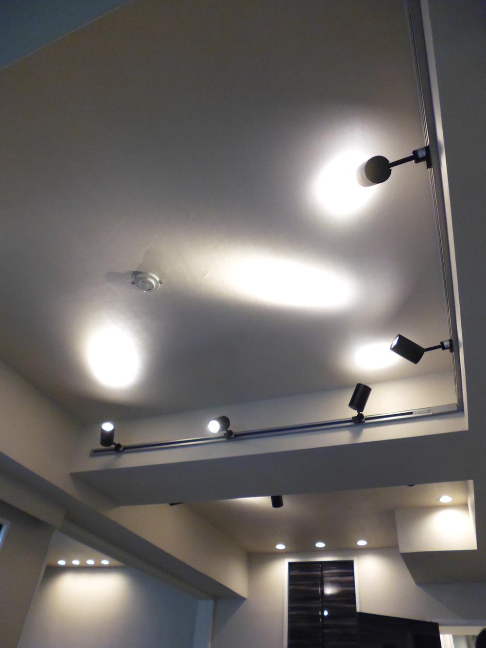 Other introspection. Ceiling lighting