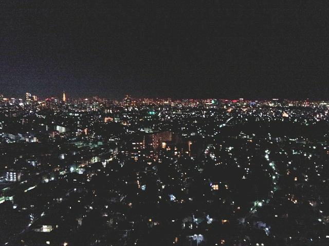 Setagaya excellent horse 1