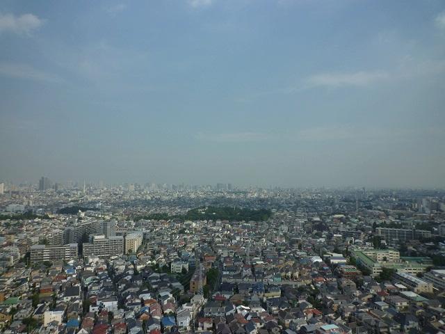 Setagaya excellent horse 1