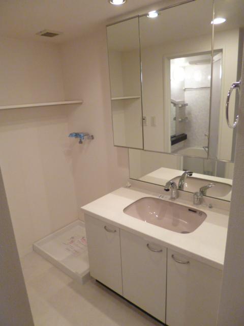 Wash basin, toilet. Wash room with cleanliness. Indoor Laundry Storage.