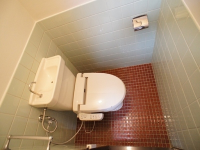 Toilet. Shower toilet