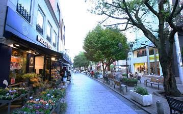 Streets around. 800m to Jiyugaoka