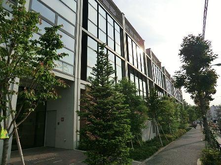 Streets around. Enhancement of the surrounding environment