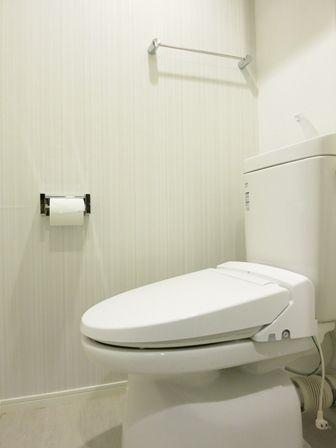 Toilet. ~ Interior was completed ~