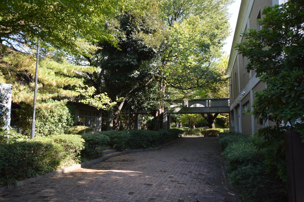 Seijogakuen elementary school ・ high school ・ University