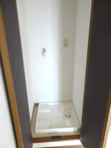 Wash basin, toilet. Indoor Laundry Storage