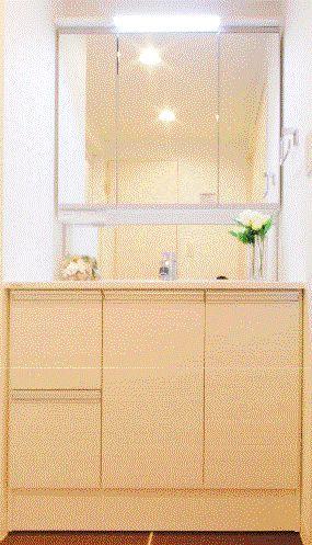 Wash basin, toilet. Same specifications construction cases