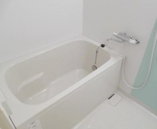 Bathroom. We have established the bath