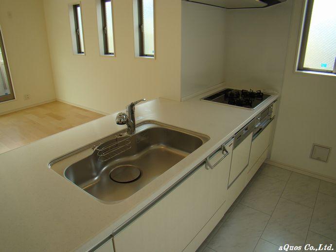 Kitchen. Indoor (11 May 2013) Shooting