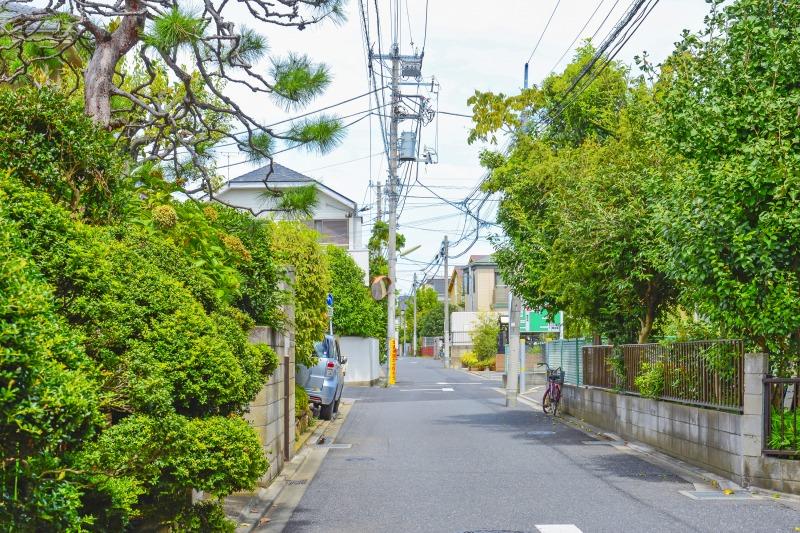 Other. Surrounding environment