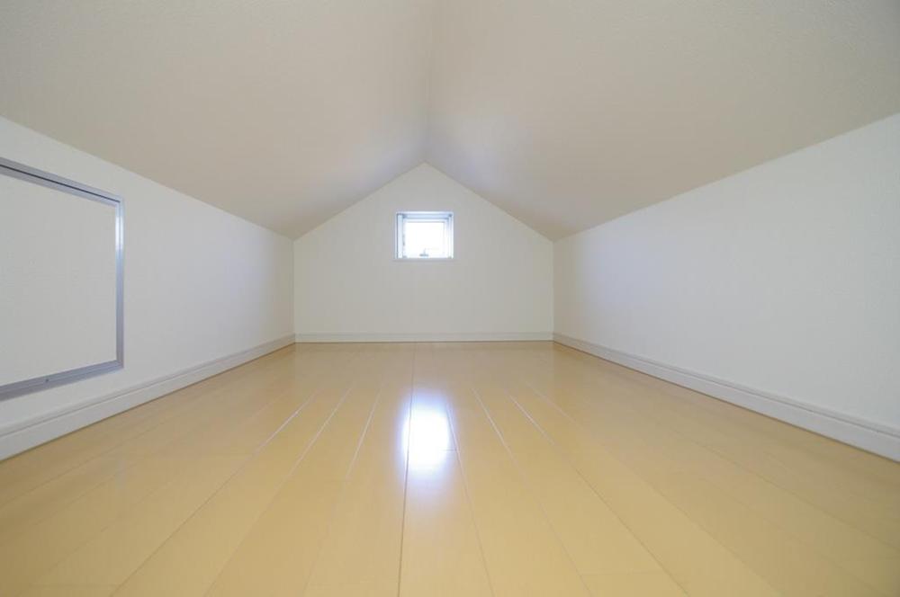 Other introspection. Local (12 May 2013) Shooting