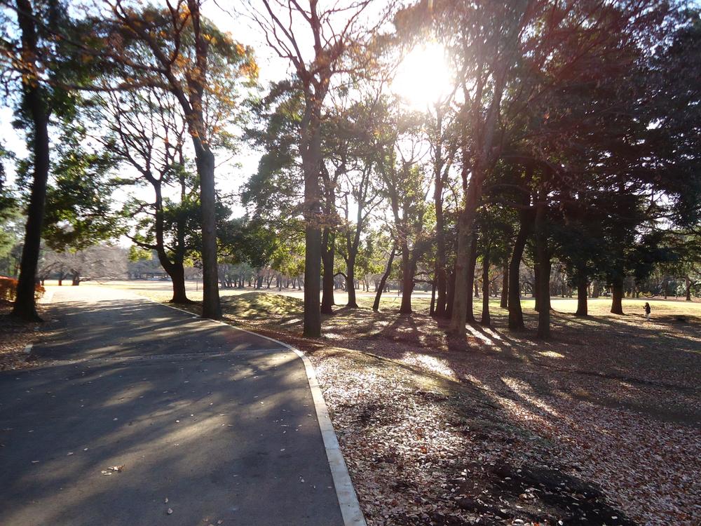 park. 500m to Kinutakoen