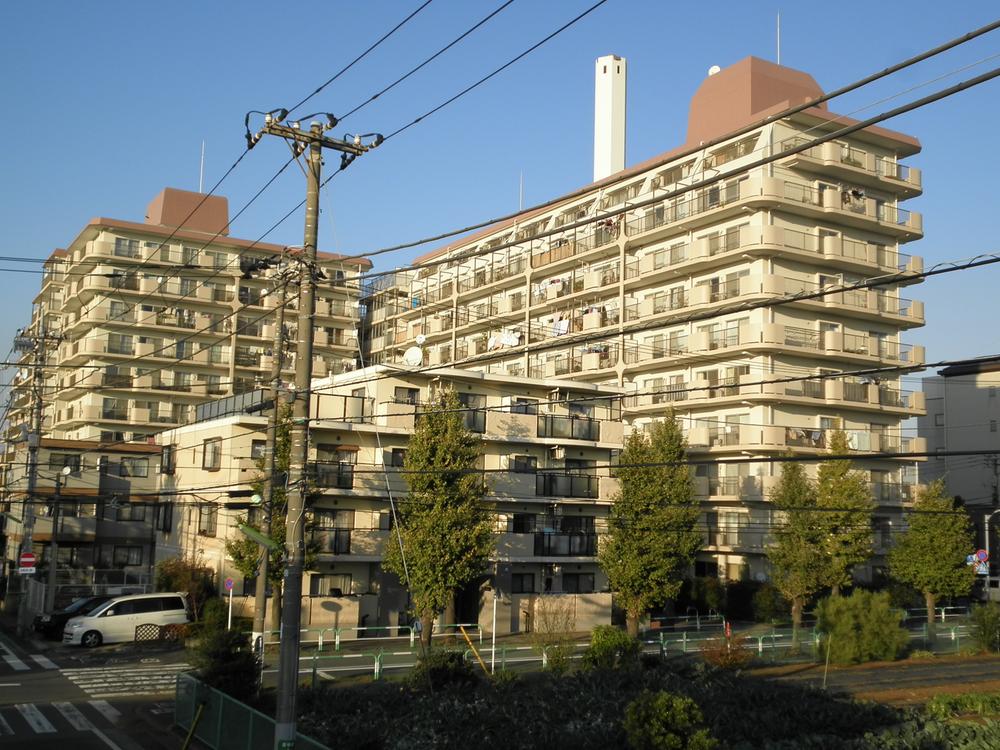 Local appearance photo. (November 2013) Shooting