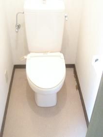 Toilet. Western style