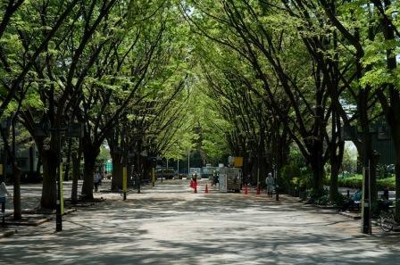 park. 1900m to horse events public garden