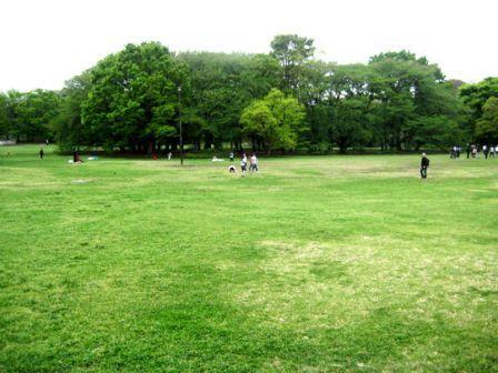 park. Until Kinutakoen 2700m