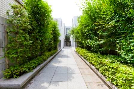 Entrance. Common areas