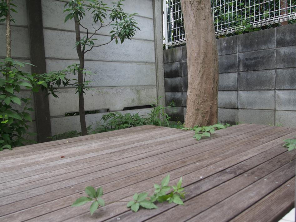 Balcony. Indoor (June 2013) Shooting