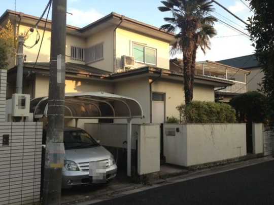 Local land photo. Appearance 1