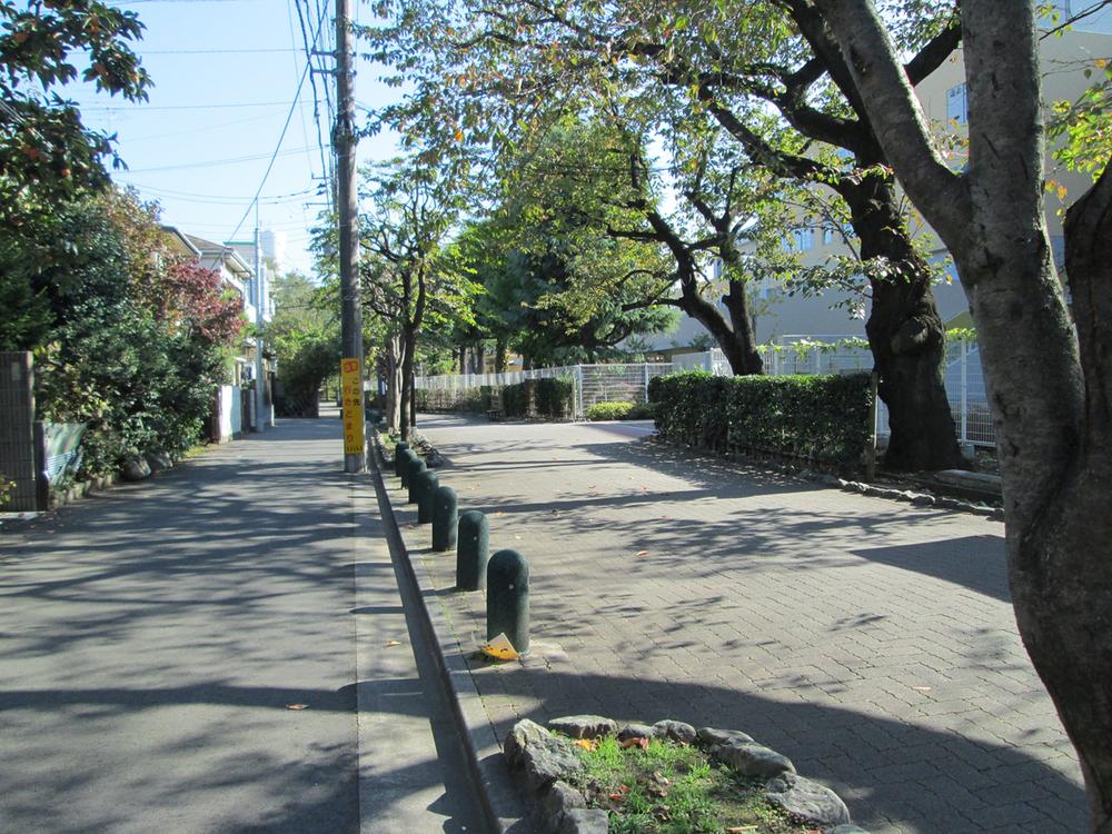 Streets around. Bloom cherry blossoms in the 10m spring to Osan petting promenade. primary school ・ It is the road in front of the junior high school of the eye. 