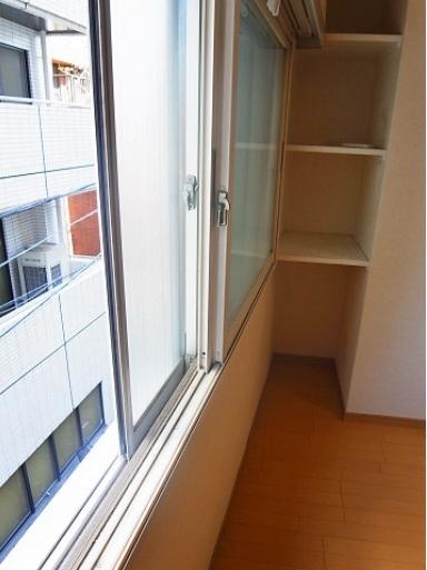 Other introspection. Double sash