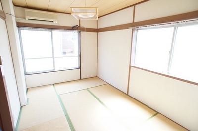 Living and room. Bright two-plane daylight!