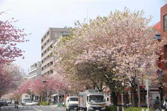 Local land photo. Sakurashinmachi Station