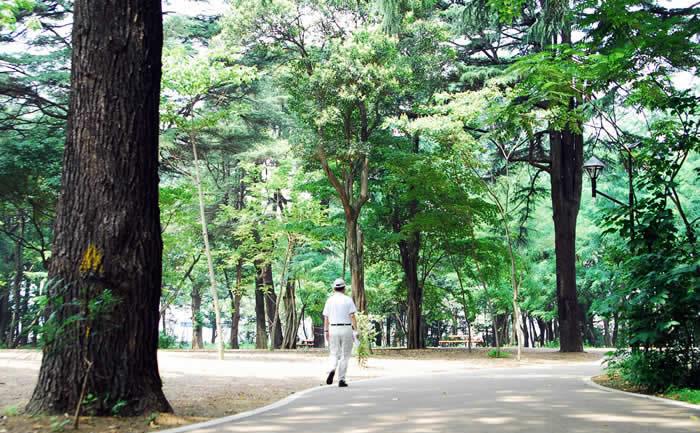park. 858m to the forest park of Ekoda