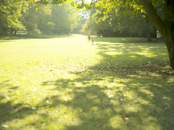 Surrounding environment. Near the planning area that leafy shade to produce a moisture. The surrounding area is a large park, such as Kinutakoen that has been the hotel's the edge deep Roka Hisashi Harusono and museums to Roka Tokutomi are scattered. (Kinutakoen ・ Walk 28 minutes / About 2200m)