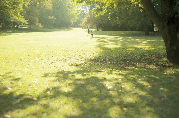 Setagaya Art Museum of the park, Sports facilities are also want to feel free to visit Kinutakoen (about 2200m)