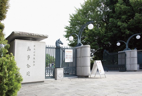 Distinctive events such as pony riding experience attractive "Umagotooyakesono" (about 2150m ・ Bicycle about 11 minutes)