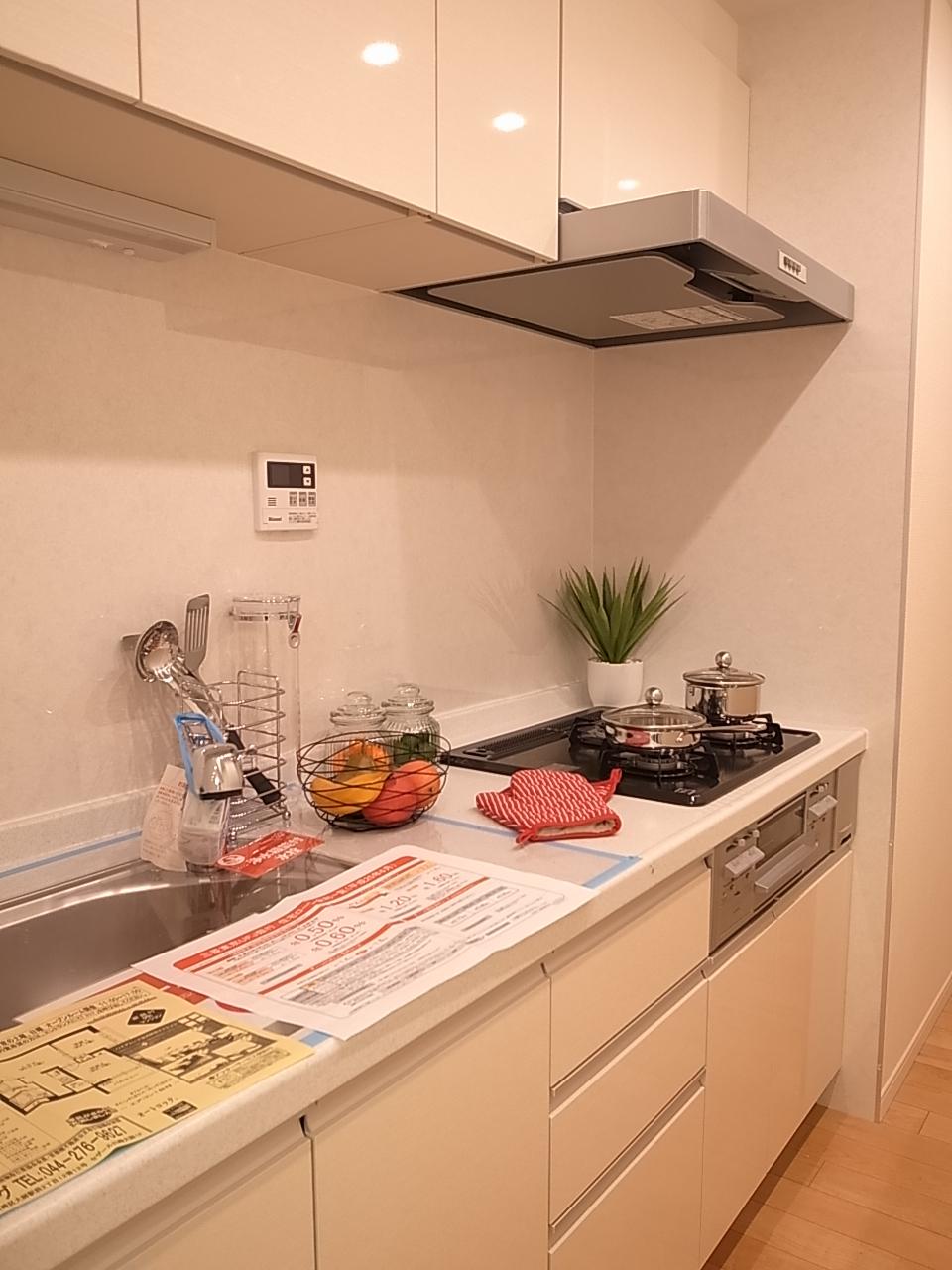 Kitchen. System kitchen