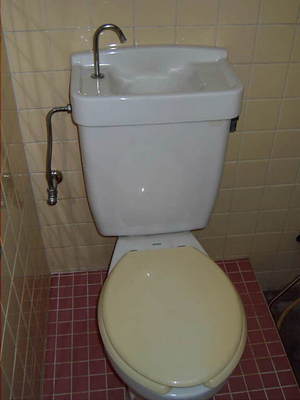 Toilet. Toilet cleanliness