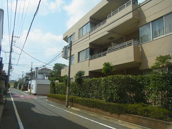 Local appearance photo. Local (June 2013) Shooting