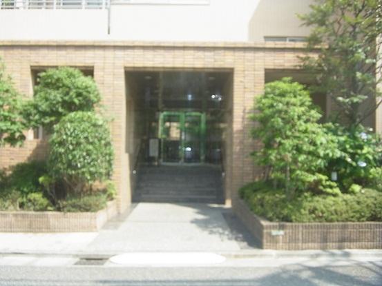 Entrance. Common areas