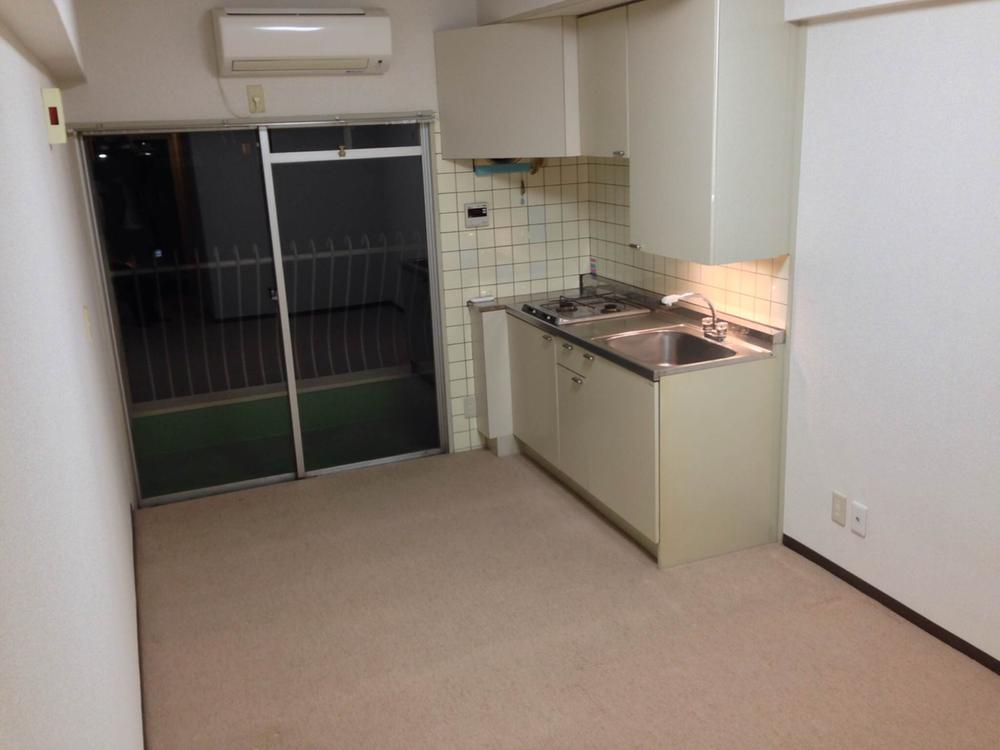 Living. Indoor (2013 November shooting)