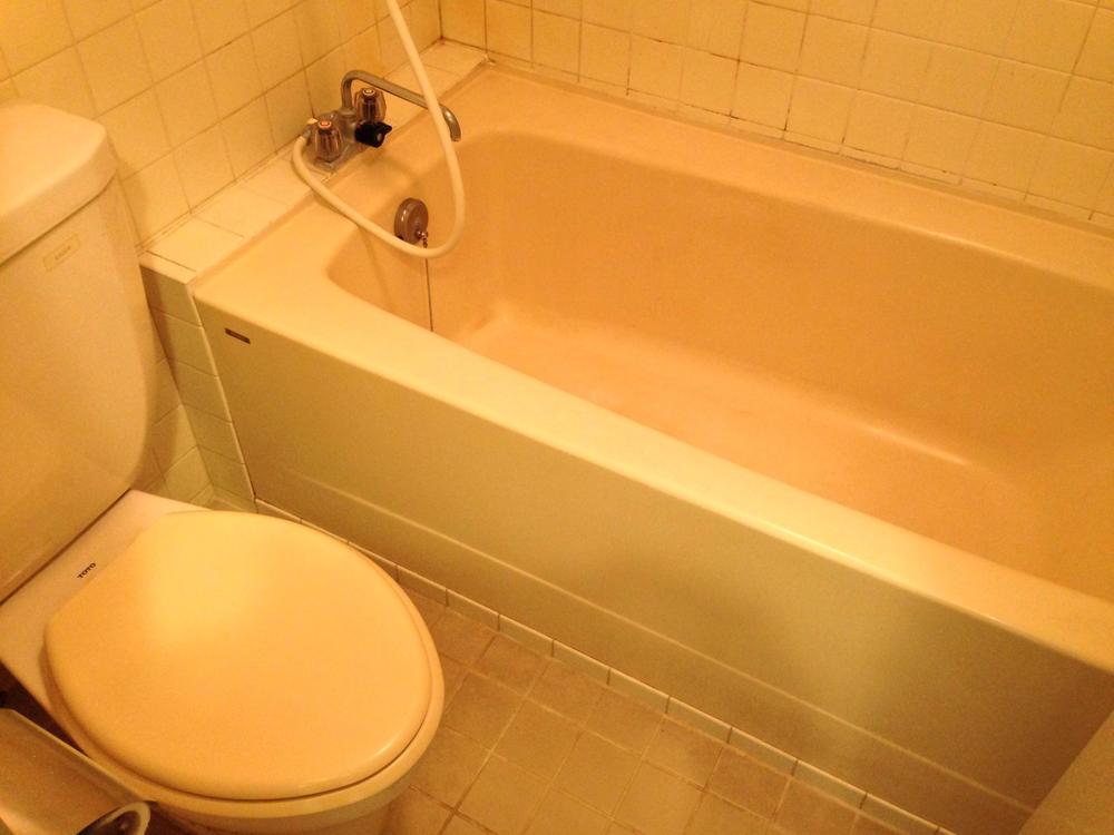 Bathroom. Indoor (2013 November shooting)