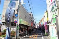 Other Environmental Photo. Lily of the Valley Street 50m to shopping street