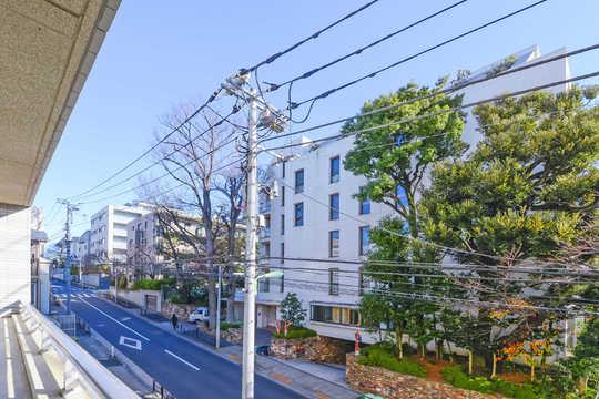 View photos from the dwelling unit. Green shine in the eyes. Views of the cherry blossoms in the spring.