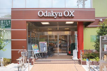 Supermarket. 340m to Odakyu OX