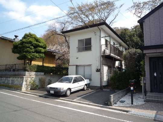 Local land photo. Appearance (1)