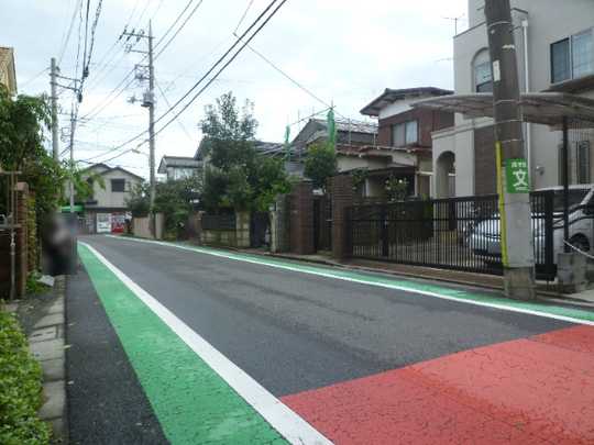 Local land photo. Appearance (1)